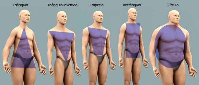 tiposdecuerpos_hombres